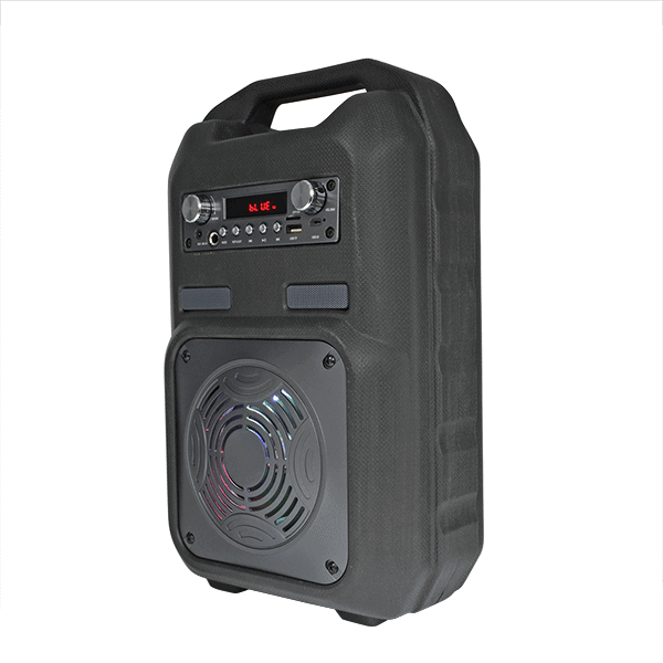 SPEAKER-TORRE-BS100_30355_BS-10_1.png
