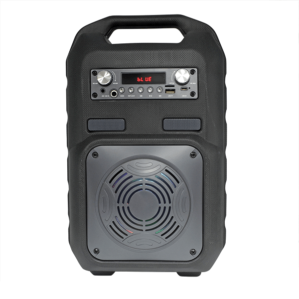 SPEAKER-TORRE-BS100_30355_BS-10_2.png