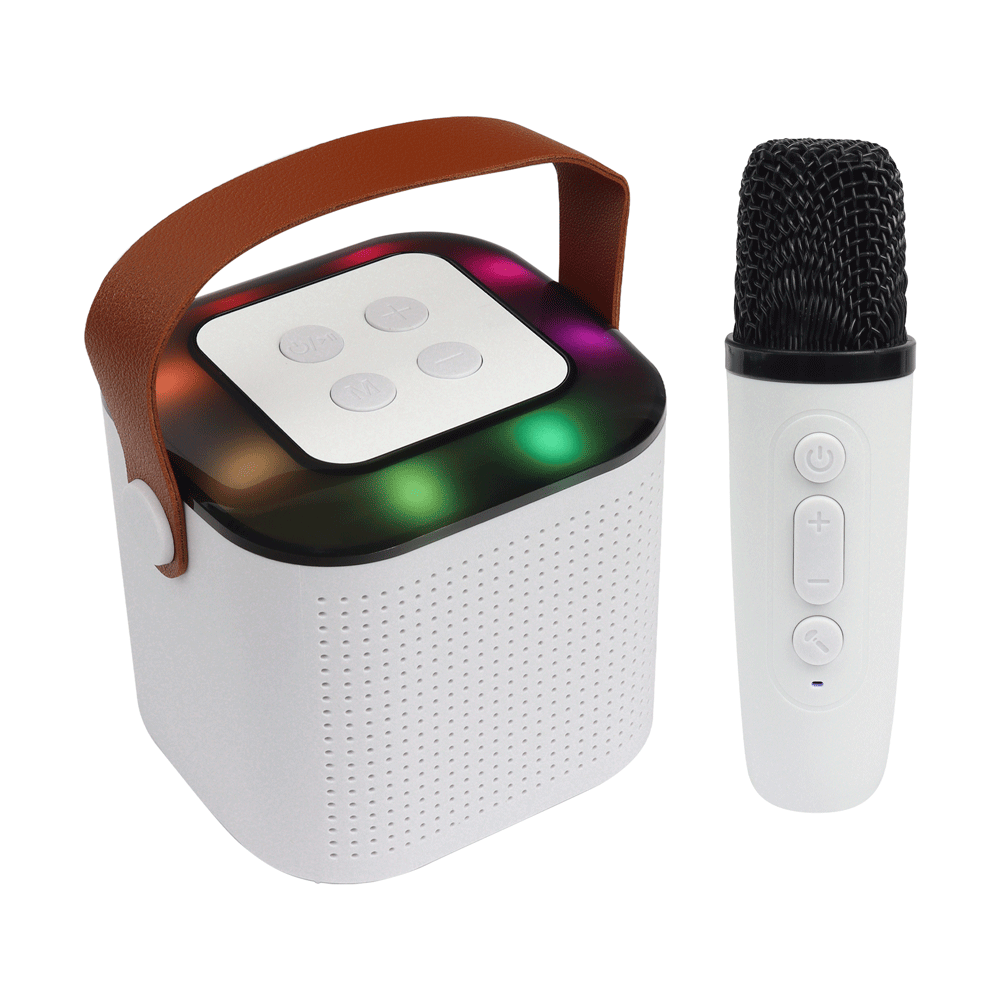 MINI KARAOKE RGB 2 MICS – Y1