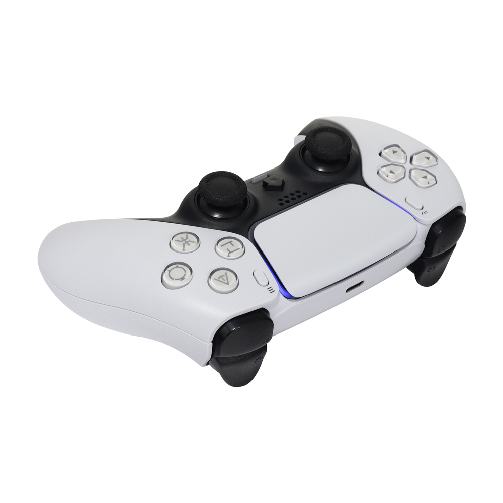CONTROL-PS5-BLANCO_11937_GT-PS5B_3